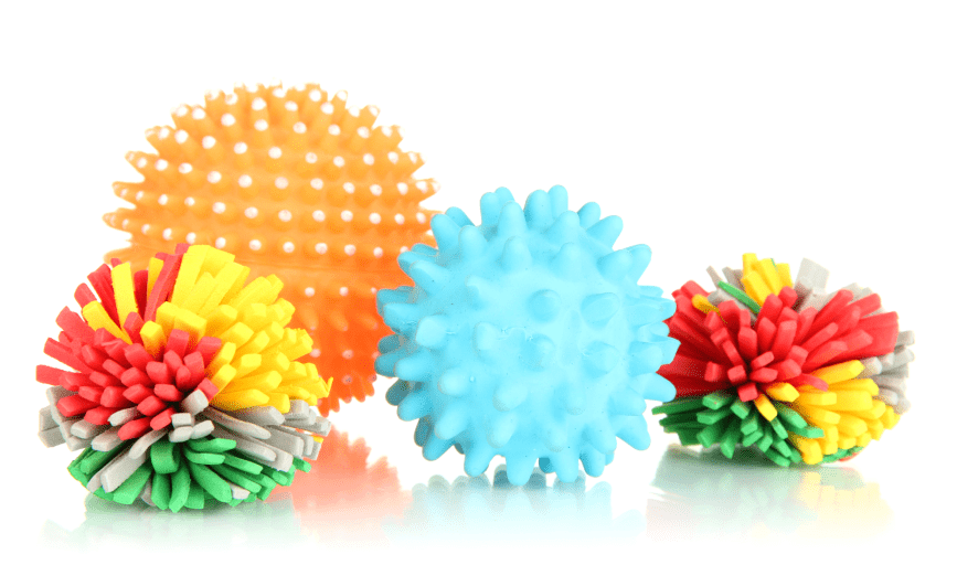 Pet Toys